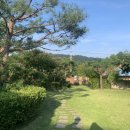 해찬솔가 이미지