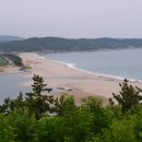 진한솔