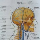 뷰티연구소 네이버블로그
