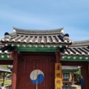 노거수 은행나무 축제의 속삭임 이미지