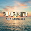 케세라세라 | 케세라세라 뜻과 유래 알아보기: 마음을 편하게 해주는 긍정적인 인생 태도 명언