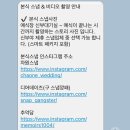 디어데이즈
