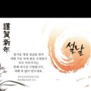 마린오 이미지