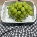 청량리 경동시장 맛집 다퍼줘 횟집/청과포차/기태만두 내돈내산 후기