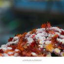 강천산군립공원(강천사) 이미지