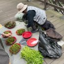 영통동 966-2~영통동 994-3 | 충남 공주 마곡사 시나브로 치유길 사운드 워킹 프립 체험 당일치기 후기