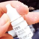 뽀띠끄