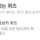 보카 이미지