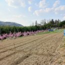 덕촌농장 이미지