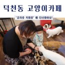 감자랑커피랑 이미지