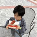한솥도시락 대구용산점 | 대구 이월드 먹거리 총정리 (맘스터치,명랑핫도그,한솥도시락까지!)