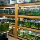 수원-0951 이미지