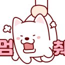 정씨주방