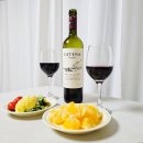 이마트24 가야본점 | 와인앤모어 이마트24 청담본점에서 만난 까테나 자파타 까테나 말벡 편의점 와인 추천