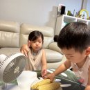하연옥수수