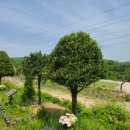 평안공원 이미지