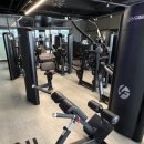 MUT GYM 이미지