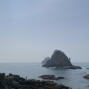 오륙도 | 부산 오륙도 스카이워크 다녀온 후기 (수선화 꽃밭까지)