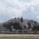 오죽헌주유소 이미지