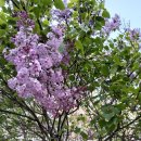 추부초병설유치원 이미지