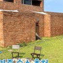 한동리브로콜리