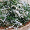 달래네 하우스 이미지