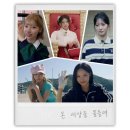 동서오토바이 - 중구 청구로12길 1 | 2Q26 RT - 복수박 야호
