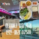 501 | 인천 파리 직항 아시아나 항공 OZ501 기내식 탑승 후기