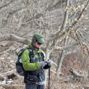 Long Path + Shore Trail, Palisades Interstate Park (25/02/15) 이미지