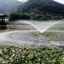 상리공원 내 이미지