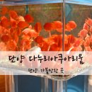 다누리도서관 | 단양 아쿠아리움 다누리아쿠아리움 입장료등 후기