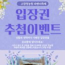 강원도 고성 가볼만한곳 ★ 6월 꽃축제 보랏빛 향기 맡으러 떠나는 고성 하늬라벤더팜 라벤더 축제