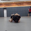 팀매드 대구 최두호짐 이미지