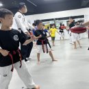 용인대 헬리오 태권도장 이미지