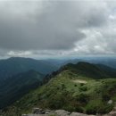 가지산약국 이미지