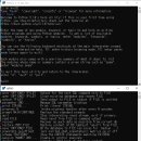 이것이 파이썬과 SQLite의 실행 모습이다... 이미지