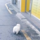 김밥가게 이미지