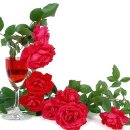 요리조리 이미지