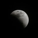 초록안경 이미지