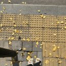 렌즈미고양점 | 지하철 타고 1시간 가야 되는데 에어팟을 두고 온 나: