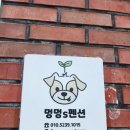 멍멍's | 가평 청평 애견동반 펜션 멍멍s펜션에서 반려견과 함께한 1박2일