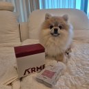 펫플 | 강아지화식 추천, 기호성 좋은 아르밀 소고기 맛 급여 후기