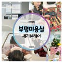 세리헤어 | 부평미용실 :: 세리본헤어 두피 케어 물광 헤드스파 후기