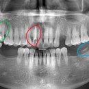 본정치과의원 이미지