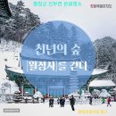 푸른숲부동산공인중개사사무소 | 진부면 프라이빗 캠핑. 전원주택. 카페. 수양관.영농형 태양광 ( 별이 쏟아지는 숲과 계곡을 품은 토지)