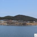 마룡농장 이미지