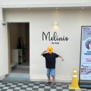 멜리니스 이미지