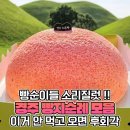 "대통령도 먹었다" 빵순이들 정신 못차린다는 경주 빵 정체 이미지