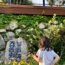 경호강뷰펜션 이미지