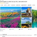 J-071 | 삿포로 여행 비에이 투어 후라노 라벤더 (7월 날씨 옷차림)